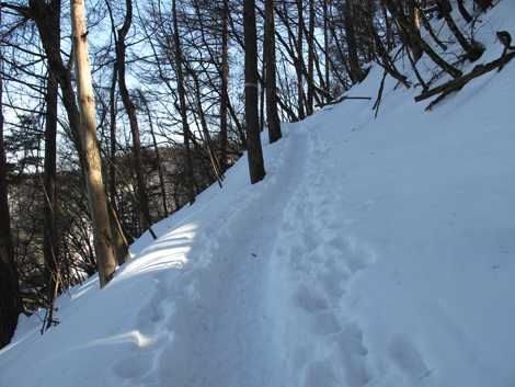 20180209hike (83)